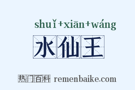 水仙王是什么意思的图片